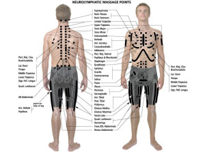 Neurolymphatic-Massage-Points-chart